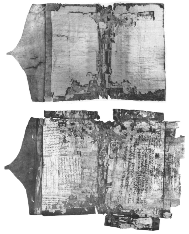 NH Codex VII Before and After