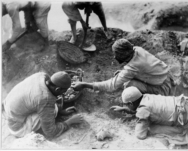 Oxyrhynchus Papyri Excavation