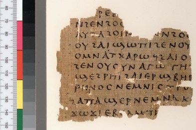 PMich inv 5421 Coptic Job verso