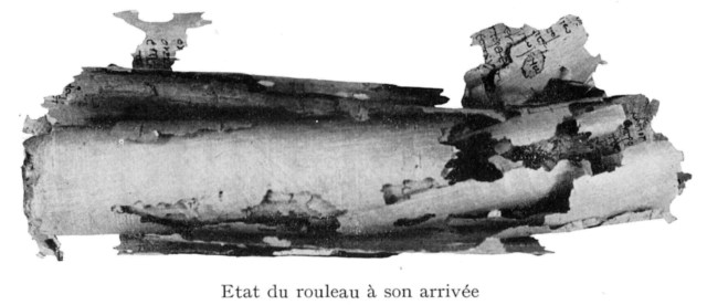 pbodmer 1 before conservation